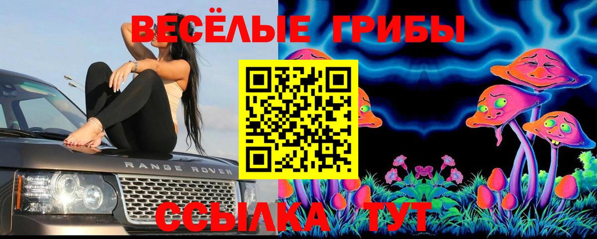 где купить наркоту  Галлюциногенные грибы Psilocybe  Вход с VPN  Кирово-Чепецк 